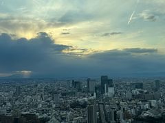 -六本木新城展望台(东京城市景观)