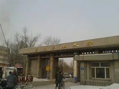 -东北农业大学