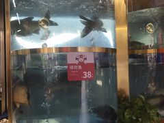 -蜀滋香鲜鱼美蛙火锅(339店)