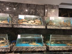 水产区-得尔乐大酒店(南塘店)