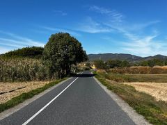 -良渚古城遗址公园