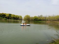 android_upload_pic-昆山城市生态森林公园