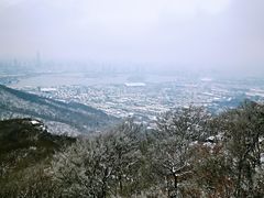 -紫金山索道-售票处