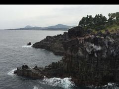 -涉地可支