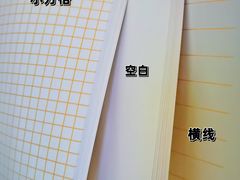 -麦当劳(新王府井店)
