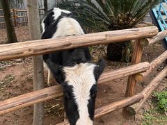 -海兰云天度假区温泉