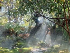 -Chom Cafe and Restaurant