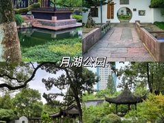 -月湖公园