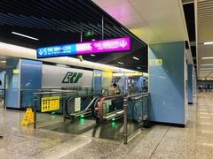 -大龙山(地铁站)