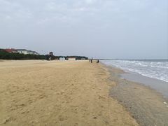 -日照海滨国家森林公园
