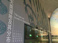 -中国湿地博物馆