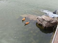 -河北省园博园