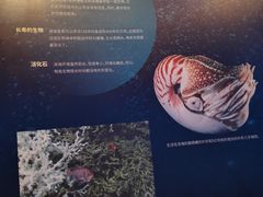 -上海中国航海博物馆