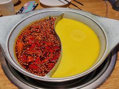 -青瓷火锅料理(西单大悦城店)