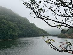 -广州市石门国家森林公园