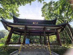 -柳侯公园