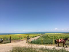 -青海湖国家重点风景名胜区