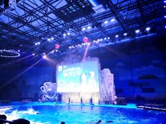 -华夏文旅海洋公园