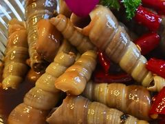 -大锅强·蒸海鲜青岛菜(吾悦广场店)