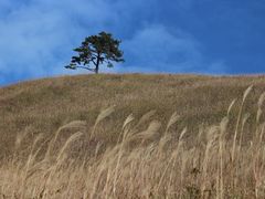 -萍乡武功山风景名胜区