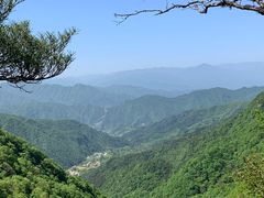 -王顺山国家森林公园
