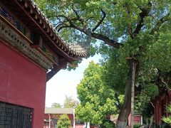 -长春观