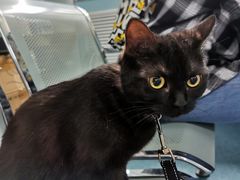 -北京赛佳动物医院