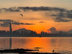 -深圳湾公园(南山区)
