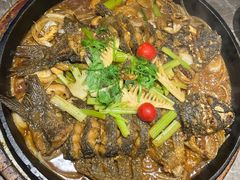 -老板恋上鱼(恒隆广场店)