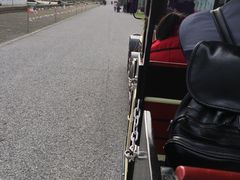 小火车-上海鲜花港