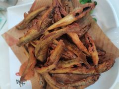 -掌勺人鱼馆(朝阳镇店)