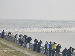 -观潮胜地公园