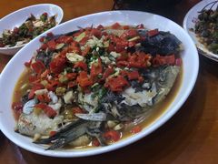 -全乐鱼馆·淳牌有机鱼直营店