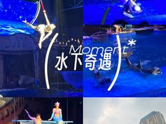 -大连圣亚海洋世界