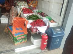 -岳各庄批发市场(西四环中路店)