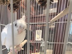 -保纳大酒店(大圩村店)