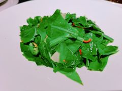 太湖银鱼炒山苏-RIVIERA 松鹤楼(外滩店)