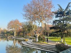 -红梅公园
