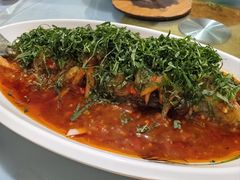 -老字号怡玺·藿香雅鱼(20年雅安店)