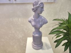 -紫洁俪方（北京）医疗美容