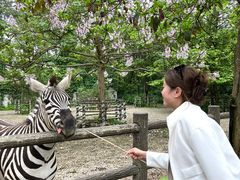 -贵州森林野生动物园