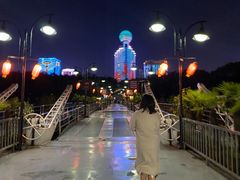 -武汉两江游览·夜游长江(汉口粤汉码头)