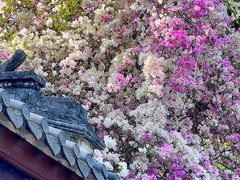 -深圳国际园林花卉博览园