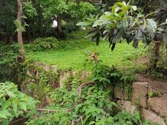 -黔灵山公园