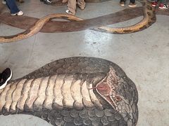 -昆明动物园