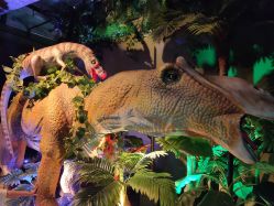 -恐龙探索乐园(磁器口店)