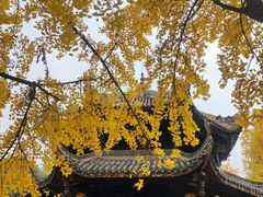 -青羊宫
