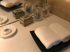 -国家会议中心大酒店