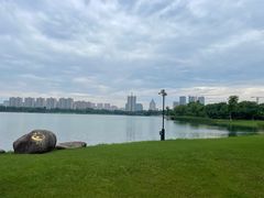 -桐乡凤凰湖