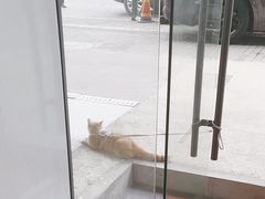 -弋车人洗美·维修·保养(三林店)